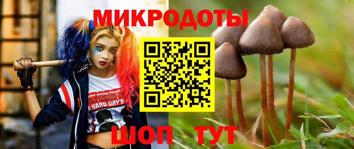 Псилоцибиновые грибы Cubensis Глазов
