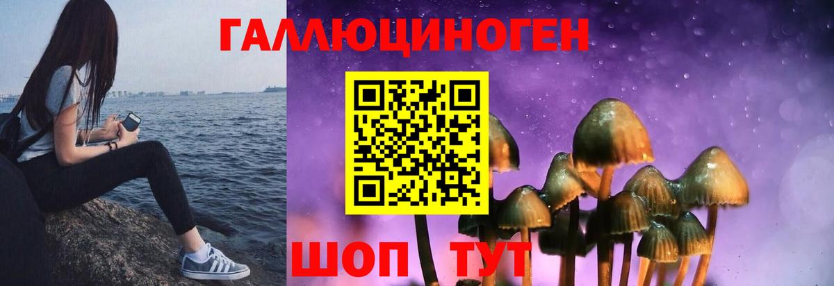 Глазов  Галлюциногенные грибы мицелий  Псилоцибиновые грибы Cubensis  Вход с VPN 